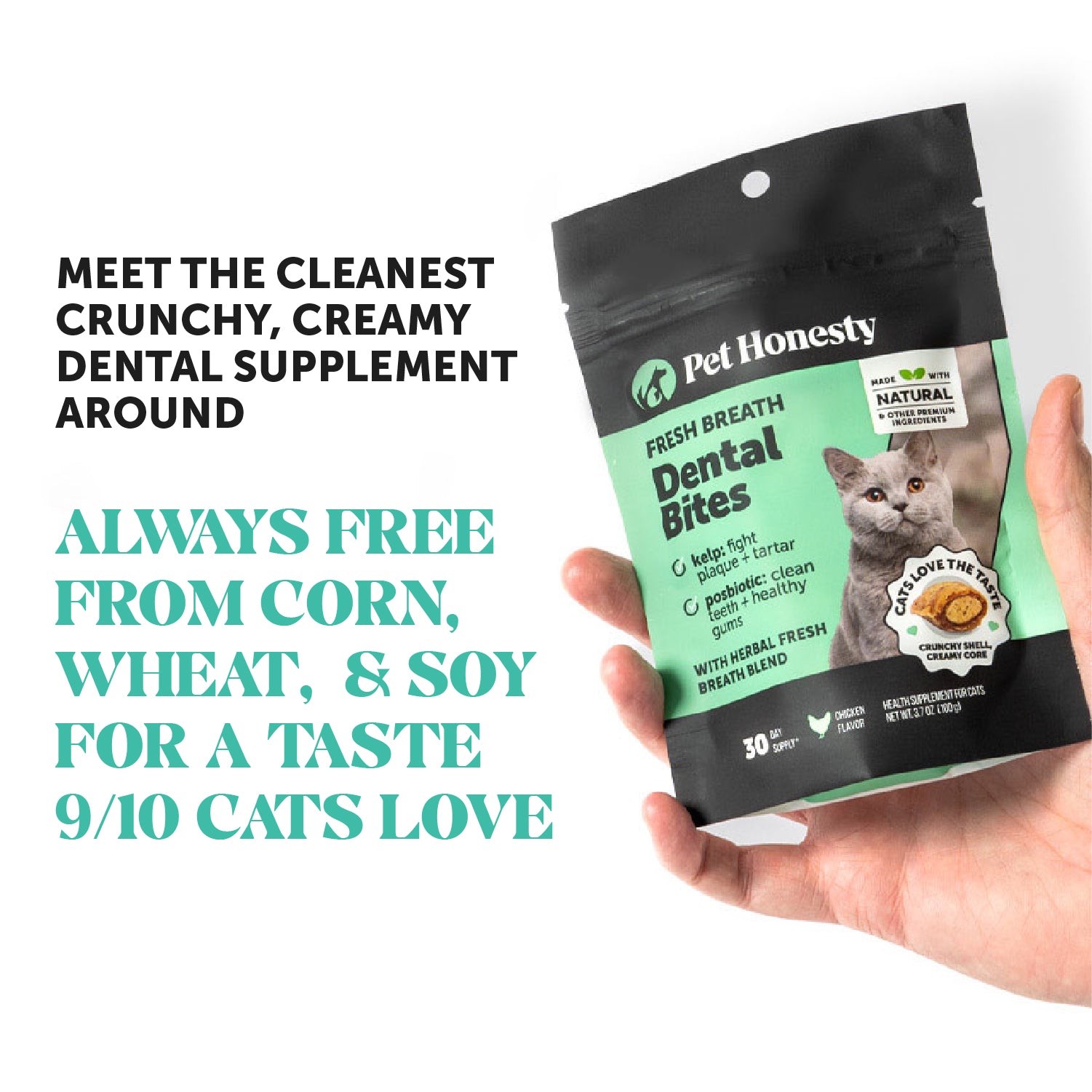 2025_Listing_Images_Cat_Fresh_Breath_Dental_Bites_Us_vs_Them_1.jpg
