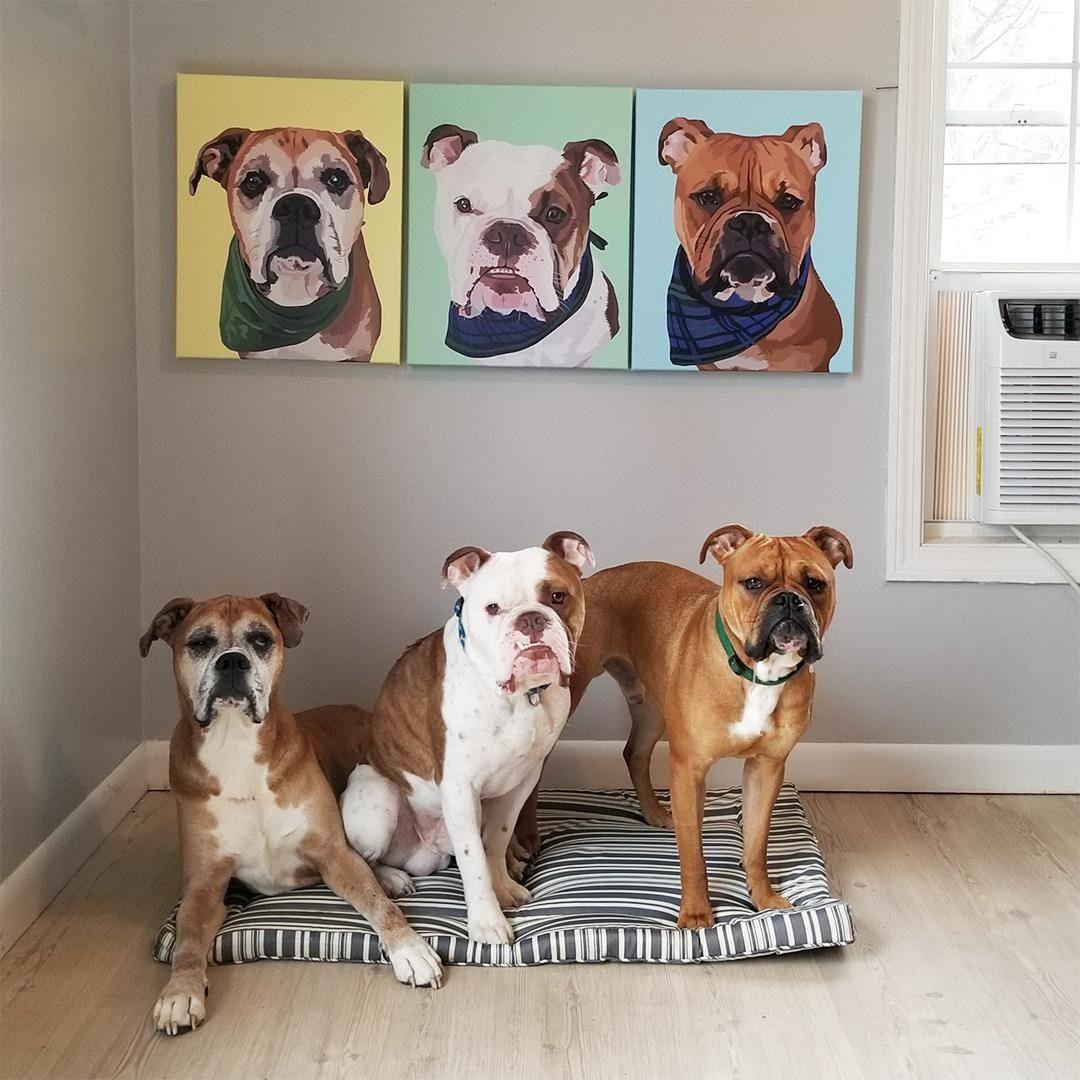 custom-wrapped-canvas-alpha-paw-12.jpg