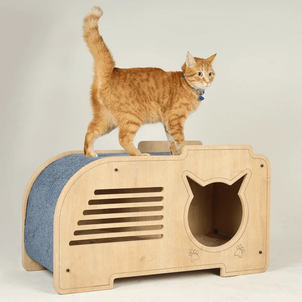lucky-modern-cat-house-with-scratching-carpet-2.jpg