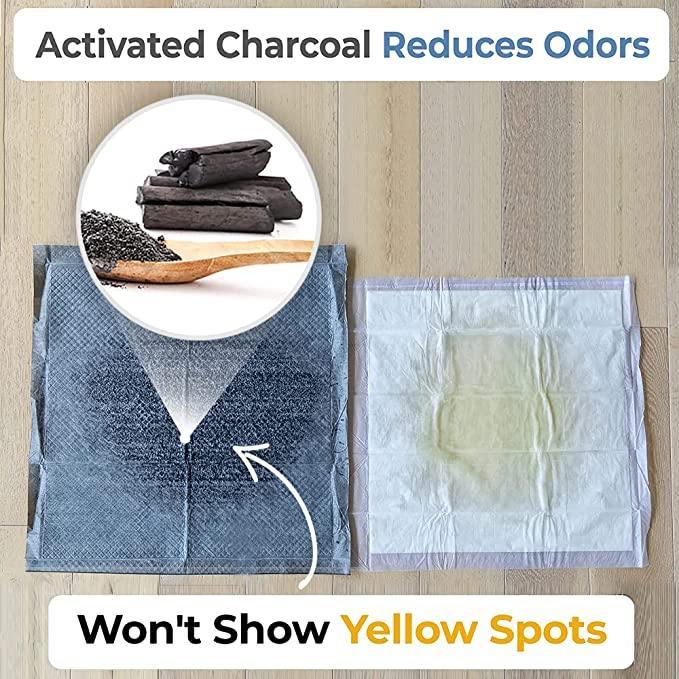 magic-pee-pads-alpha-paw-6_8c240c50-7abe-46d0-988e-d1ef280a0f99.jpg
